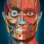 AnatomyLearning(3D 解剖学)