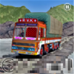 真正的印度卡车货运
