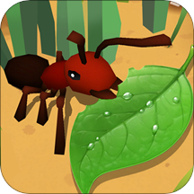 蚂蚁进化3d资源版