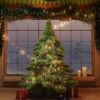 装饰一棵圣诞树Decorate a Christmas tree